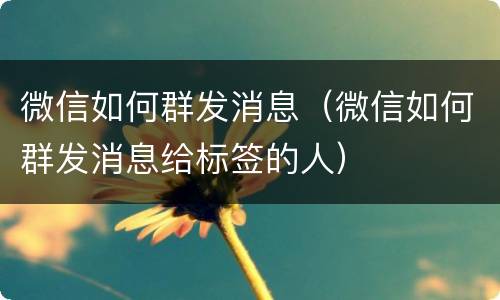 微信如何群发消息（微信如何群发消息给标签的人）