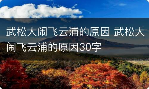 武松大闹飞云浦的原因 武松大闹飞云浦的原因30字