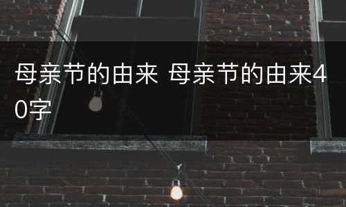 母亲节的由来 母亲节的由来40字