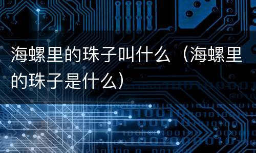 海螺里的珠子叫什么（海螺里的珠子是什么）