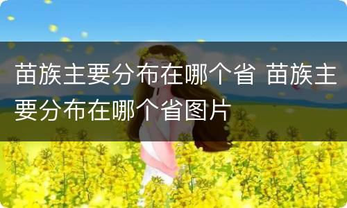 苗族主要分布在哪个省 苗族主要分布在哪个省图片