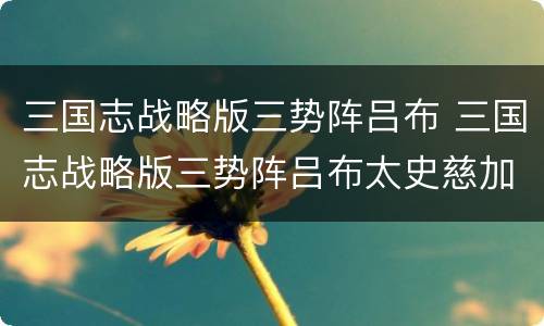 三国志战略版三势阵吕布 三国志战略版三势阵吕布太史慈加点