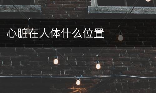 心脏在人体什么位置