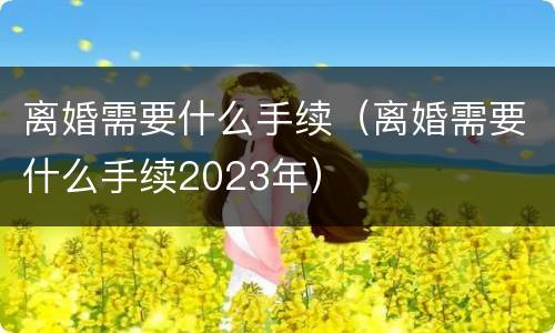 离婚需要什么手续（离婚需要什么手续2023年）
