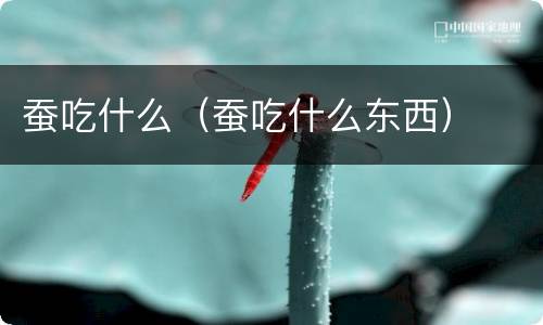 蚕吃什么（蚕吃什么东西）