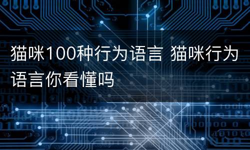 猫咪100种行为语言 猫咪行为语言你看懂吗