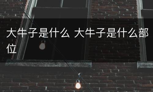 大牛子是什么 大牛子是什么部位
