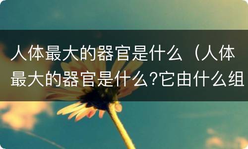 人体最大的器官是什么（人体最大的器官是什么?它由什么组织组成?）