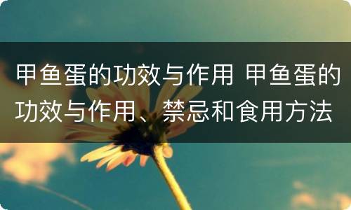 甲鱼蛋的功效与作用 甲鱼蛋的功效与作用、禁忌和食用方法