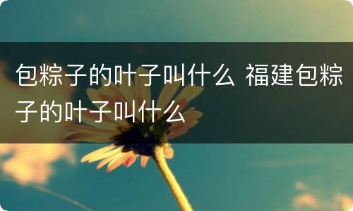 包粽子的叶子叫什么 福建包粽子的叶子叫什么