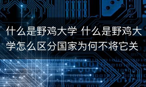 什么是野鸡大学 什么是野鸡大学怎么区分国家为何不将它关闭呢?
