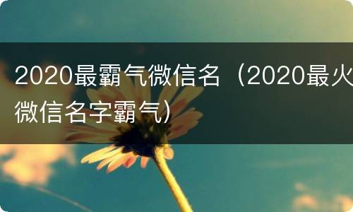 2020最霸气微信名（2020最火微信名字霸气）