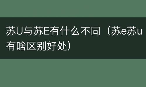 苏U与苏E有什么不同（苏e苏u有啥区别好处）