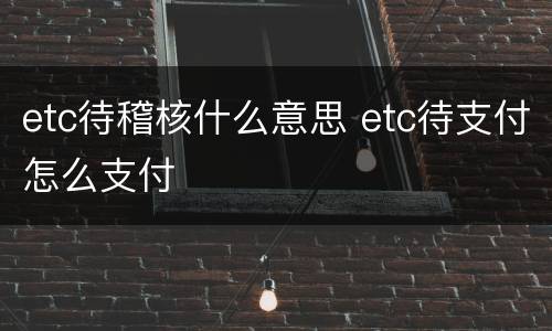 etc待稽核什么意思 etc待支付怎么支付