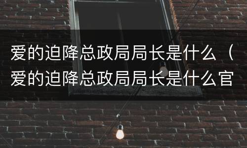 爱的迫降总政局局长是什么（爱的迫降总政局局长是什么官）