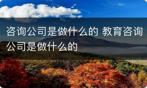 咨询公司是做什么的 教育咨询公司是做什么的