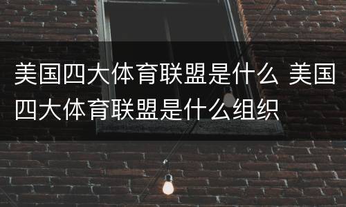 美国四大体育联盟是什么 美国四大体育联盟是什么组织