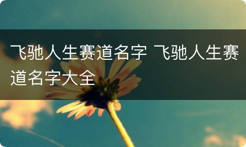 飞驰人生赛道名字 飞驰人生赛道名字大全
