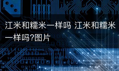 江米和糯米一样吗 江米和糯米一样吗?图片