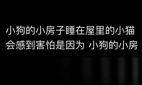 小狗的小房子睡在屋里的小猫会感到害怕是因为 小狗的小房子睡在屋里的小猫会感到害怕为什么