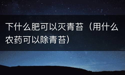 下什么肥可以灭青苔（用什么农药可以除青苔）