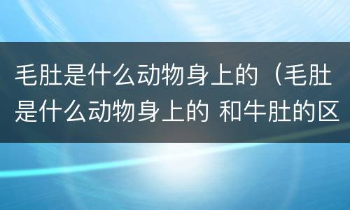 毛肚是什么动物身上的（毛肚是什么动物身上的 和牛肚的区别）