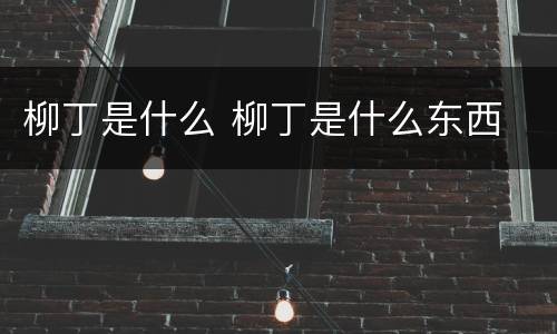 柳丁是什么 柳丁是什么东西