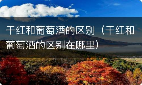 干红和葡萄酒的区别（干红和葡萄酒的区别在哪里）