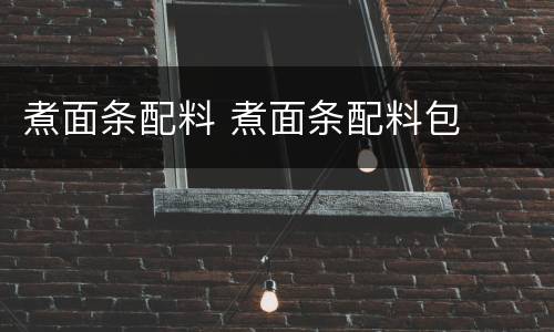 煮面条配料 煮面条配料包
