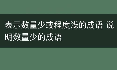 表示数量少或程度浅的成语 说明数量少的成语