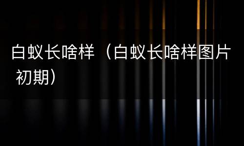 白蚁长啥样（白蚁长啥样图片 初期）