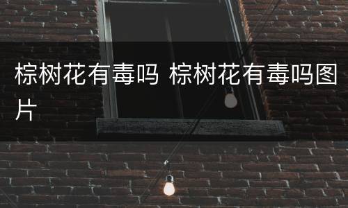 棕树花有毒吗 棕树花有毒吗图片