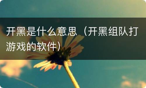开黑是什么意思（开黑组队打游戏的软件）