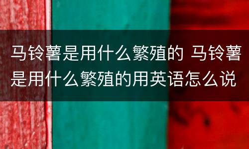 马铃薯是用什么繁殖的 马铃薯是用什么繁殖的用英语怎么说