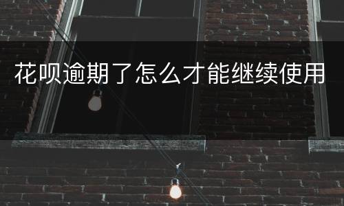 花呗逾期了怎么才能继续使用