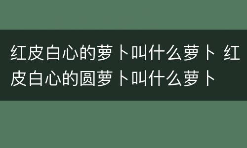 红皮白心的萝卜叫什么萝卜 红皮白心的圆萝卜叫什么萝卜