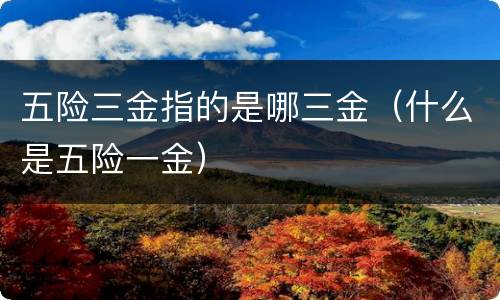 五险三金指的是哪三金（什么是五险一金）