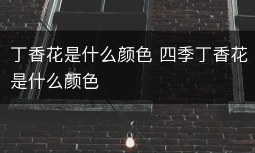 丁香花是什么颜色 四季丁香花是什么颜色