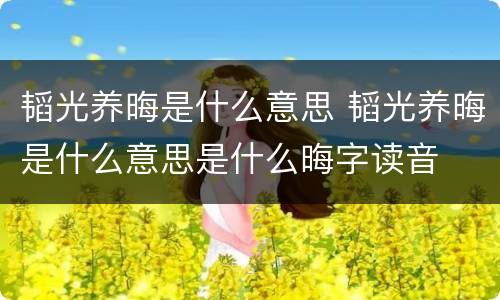 韬光养晦是什么意思 韬光养晦是什么意思是什么晦字读音