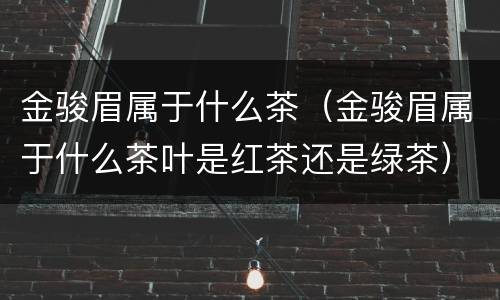 金骏眉属于什么茶（金骏眉属于什么茶叶是红茶还是绿茶）