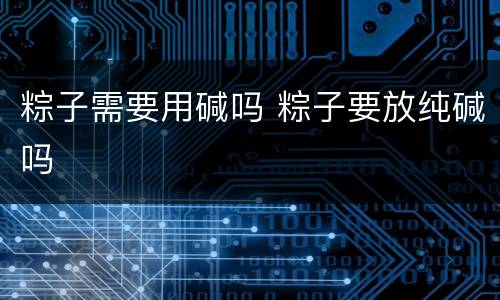 粽子需要用碱吗 粽子要放纯碱吗