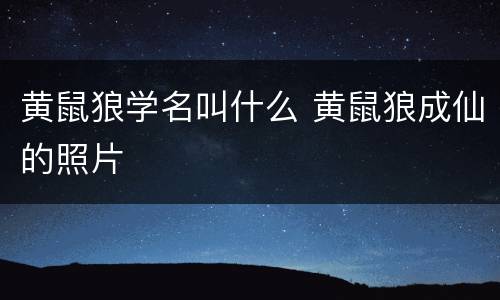 黄鼠狼学名叫什么 黄鼠狼成仙的照片