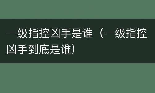 一级指控凶手是谁（一级指控凶手到底是谁）