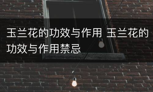 玉兰花的功效与作用 玉兰花的功效与作用禁忌