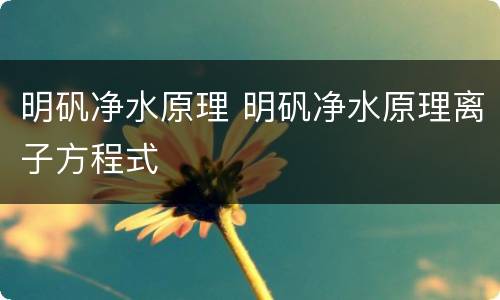 明矾净水原理 明矾净水原理离子方程式