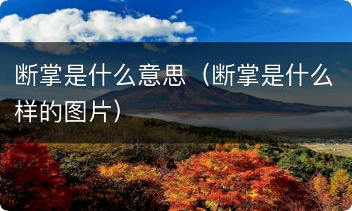 断掌是什么意思（断掌是什么样的图片）