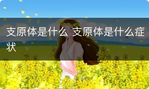 支原体是什么 支原体是什么症状