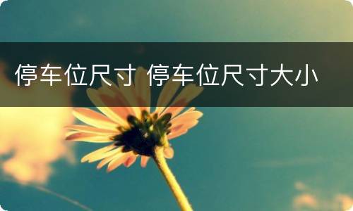 停车位尺寸 停车位尺寸大小