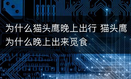 为什么猫头鹰晚上出行 猫头鹰为什么晚上出来觅食