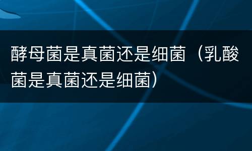 酵母菌是真菌还是细菌（乳酸菌是真菌还是细菌）